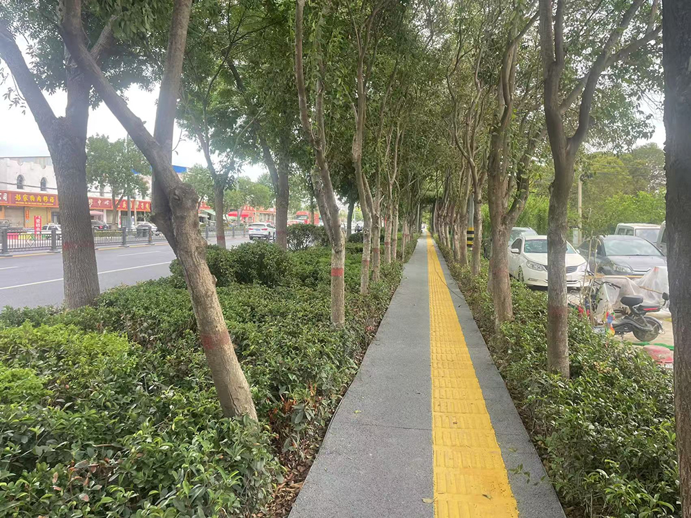 全历程造价咨询--滕州市平行南路(青啤大道-生态园)提升工程全历程造价咨询效劳项目（全长2.8公里，，，项目预算总投资额约4000万元）